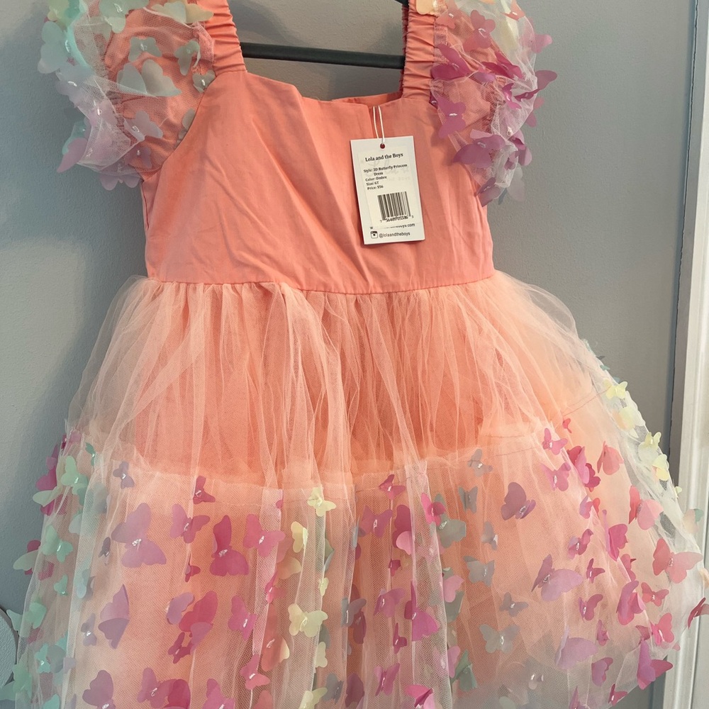 Butterfly Fairy Costume - Pink and Multicolor